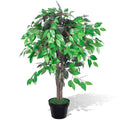 Künstlicher Zwerg-Ficus Mit Topf