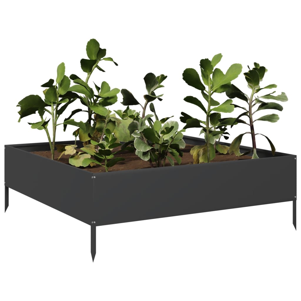 Hochbeet Schwarz 100X100X33,5 Cm Stahl/Schwarz