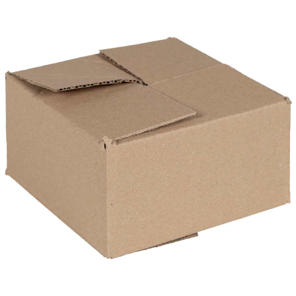Faltbox Mit Speicher 50 Pcs Natur Karton