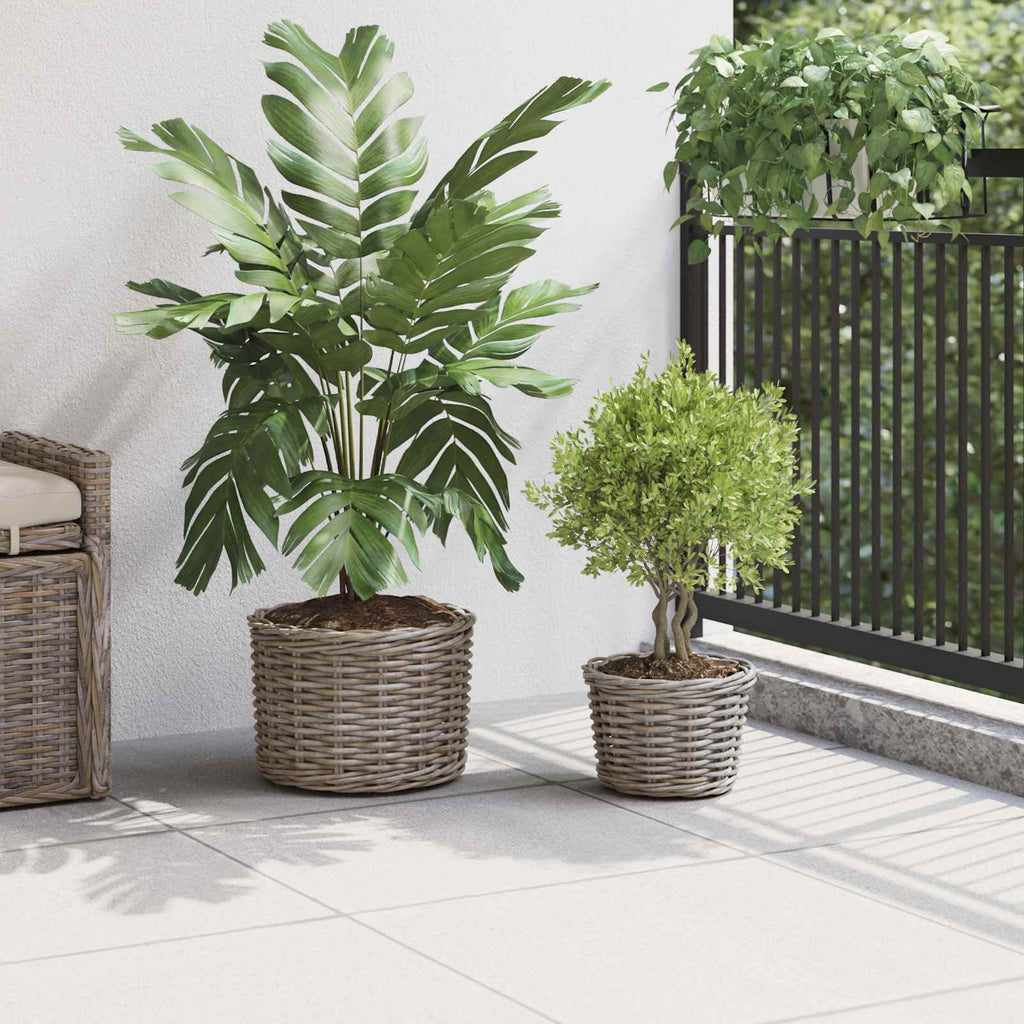 Blumentopf Korb Mit Speicher 2 Pcs