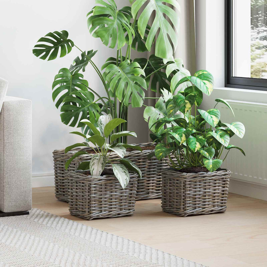 Blumentopfkorb Mit Speicher 3 Pcs